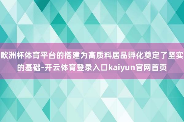 欧洲杯体育平台的搭建为高质料居品孵化奠定了坚实的基础-开云体育登录入口kaiyun官网首页