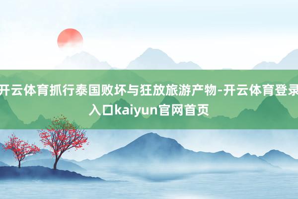 开云体育抓行泰国败坏与狂放旅游产物-开云体育登录入口kaiyun官网首页