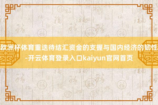 欧洲杯体育重迭待结汇资金的支握与国内经济的韧性-开云体育登录入口kaiyun官网首页