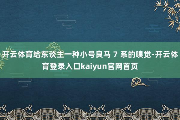 开云体育给东谈主一种小号良马 7 系的嗅觉-开云体育登录入口kaiyun官网首页