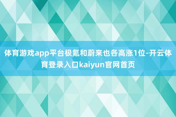 体育游戏app平台极氪和蔚来也各高涨1位-开云体育登录入口kaiyun官网首页