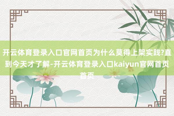 开云体育登录入口官网首页为什么莫得上架实践?直到今天才了解-开云体育登录入口kaiyun官网首页
