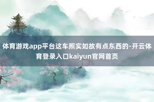 体育游戏app平台这车照实如故有点东西的-开云体育登录入口kaiyun官网首页